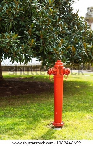 Red fire hydrant in a park in the city. Fire safety in Istanbul