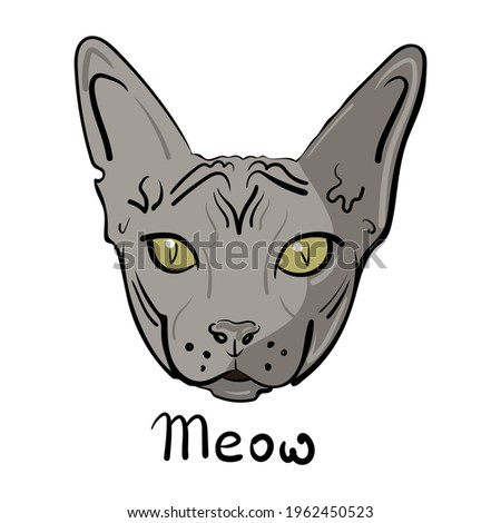 Hand-drawn head of a sphinx cat. Vector illustration for print and cat food advertising, pet shop, sticker and poster, flyer and postcard.
