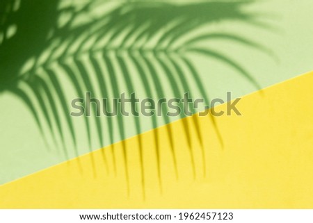shadows on yellow and green background, summer concept with palm leaf, copyspace