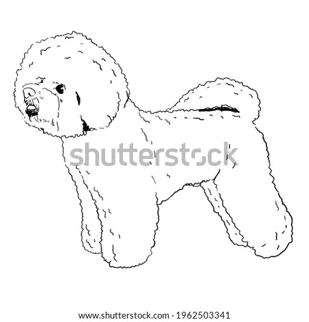 dog breeds line art illustration sketch