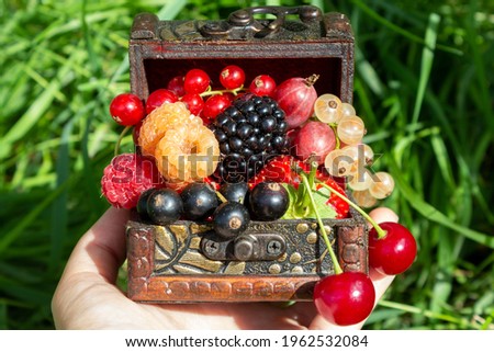 A chest with a set of various berries from the garden: raspberries, red, black and white currants, cherries, blackberries, strawberries, gooseberries. Stocks of vitamins for the winter. Fairy Tale box