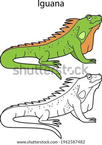 Funny cute animal iguana isolated on white background. Linear, contour, black and white and colored version. Illustration can be used for coloring book and pictures for children