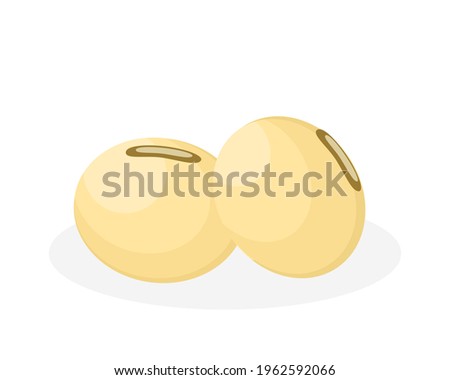 Closeup two soy bean isolated on white background. icon vector illustration.