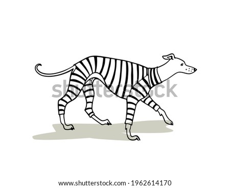 Vector card with hand drawn cute whippet in a stripe sweet pyjamas. Beautiful design elements, ink drawing, funny illustration. 