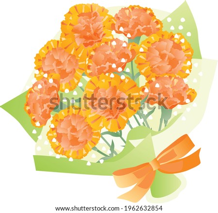 Bouquet of the orange carnation of Mother's Day