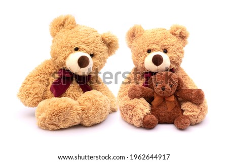 Two brown teddy bear with baby isolated on white background.