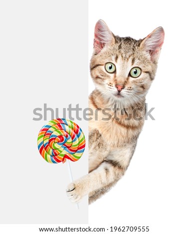 Cat holds a colorful candy behind empty white banner.  isolated on white background
