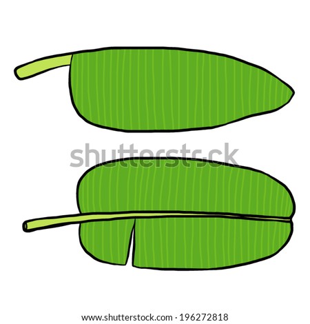 two banana leaves / cartoon vector and illustration, hand drawn style, isolated on white background.