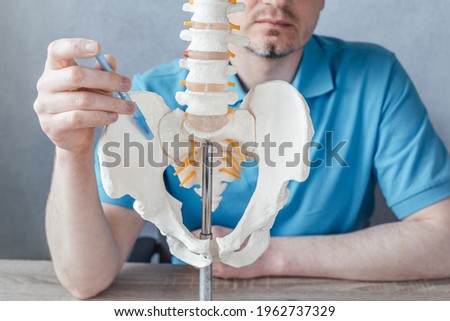 Male doctor's hand showing sacroiliac joint on skeleton spine model close-up, physiotherapist pointing at spine model in the clinic Royalty-Free Stock Photo #1962737329
