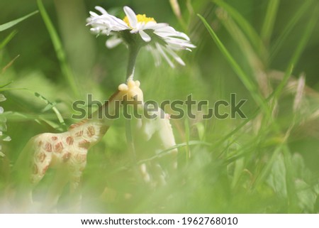 Miniature Love. Giraffe and Unicorn in love use a daisy as a parasol on their date. 