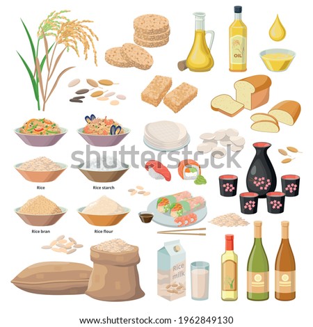 Rice products, food from rice, oil, flour, bran, starch, milk, Puffed rice, popped rice cakes, Sake, wine , bread, sushi, chips, Bánh tráng, paper, kernels etc. Vector set of infgraphic elements. Royalty-Free Stock Photo #1962849130