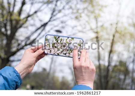 Woman holding phone and making beautiful spring flowers