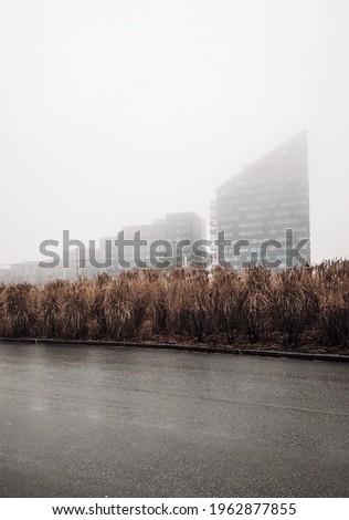 Photo of tall buildings in foggy autumn weather