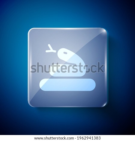 White Snake icon isolated on blue background. Square glass panels. Vector