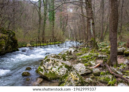 Photography of mountain stream in spring 