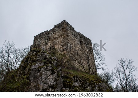 Photography of an old fortress in forest 