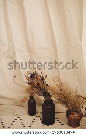 Decor details of atmospheric bohemian style interior room. Dry protea flower in vase and pampas grass on rug on background of beige cloth. Boho decor for wedding or in studio