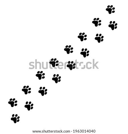 Animal tracks, footprint. Black Trace steps imprints isolated on white. Animal trails. Dog, tiger, bear or cat paw silhouette print. Vector flat illustration for children book, game