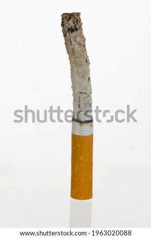 Single cigarette butt with ash isolated on white background.