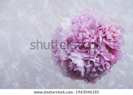 Mono bouquet of fresh pink beautiful peony flowers in full bloom on beige background, top view. Spring or summer blooms.