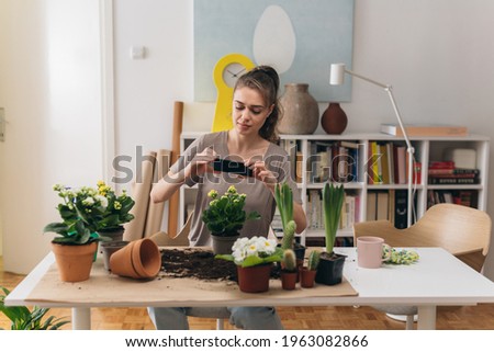 woman gardening houseplants at home. taking picture with mobile phone