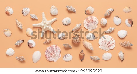 Beautiful summer banner with a collection of various seashells on a pastel background. Top view, flat lay