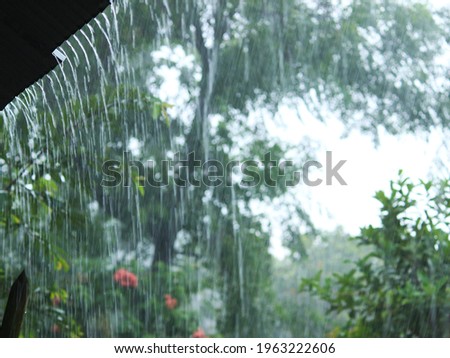 raindrops fall in a serene and romantic setting in the peaceful and beautiful countryside.