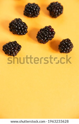 Six Blackberries on an illuminating yellow background. High quality photo