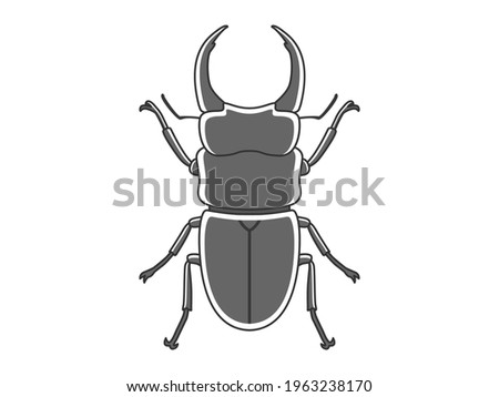 Illustration of Japanese stag beetle.