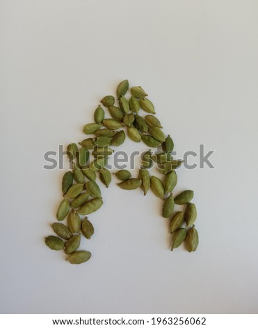 picture of green cardamom or elaichi in "A" shape on isolated white background.