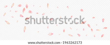 Color Sakura Vector Panoramic Transparent Background. Blossom Soft Backdrop. Peach Blow Card. Cherry Overlay Congratulation. Purple Floral 3d Texture. Royalty-Free Stock Photo #1963262173