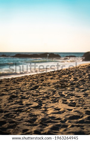 pictures of california beach and flowers