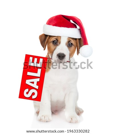 Jack russell terrier puppy  wearing santa hat holds sales symbol in it mouth. isolated on white background