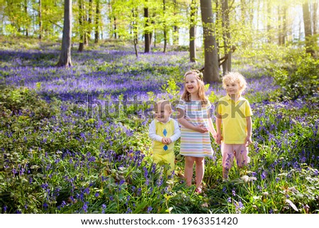 Kids playing in bluebell woods. Children watching protected plants in bluebell flower woodland on sunny spring day. Boy and girl in blue bell flowers meadow. Family walk in park with bluebells.  Royalty-Free Stock Photo #1963351420
