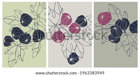 Decor printable art. Set of hand drawn vector illustrations of fig fruits on branches