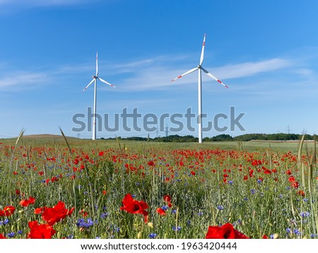 Modern wind turbines, poppy flower field in Autumn. Red poppy flowers and blue cornflowers in full bloom. Alternative green energy, eco-friendly sustainable lifestyle, green technology. Selective