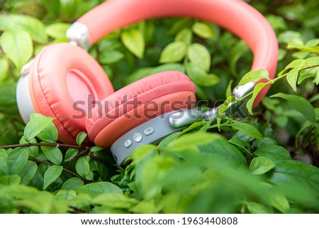 Wifi headphones technology and nature, a new system in 9 d sound technology, Headphones of different types flat lay