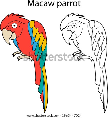 Funny cute animal macaw parrot isolated on white background. Linear, contour, black and white and colored version. Illustration can be used for coloring book and pictures for children
