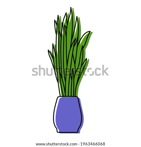 Sansevieria houseplant sketch. Indoor Snake plant vector illustration. Mother-in-law’s tongue or Dracaena trifasciata doodle drawing