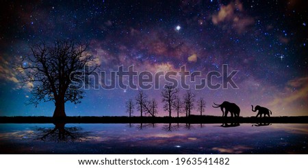 Elephant silhouettes walking in the night,Panorama blue night sky milky way and star on dark background.Elephant expedition.