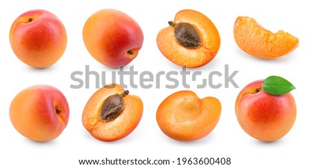 Apricot isolated. Apricots on white. Whole, half, slice apricots with leaf. Apricot set. Full depth of field.  Royalty-Free Stock Photo #1963600408