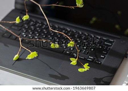  A close-up of a laptop turned off , a twig with green leaves in the sun above the keyboard. Digital Detox concept