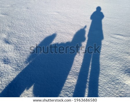 shadows of man and dog poodle on the snow for a walk, dog is man's best friend, together forever, friendship concept 