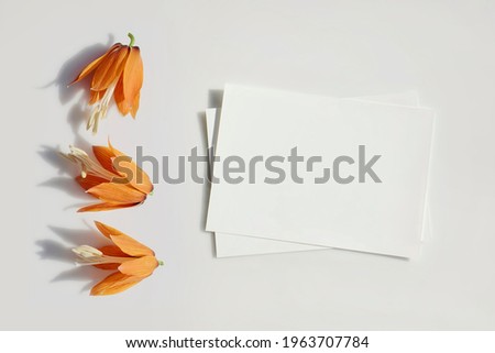 Mockup poster or flyer for presentation, stationery and orange flowers with shadows on a gray background in a elegant modern minimalist style. Congratulations blank, business card or invitation.