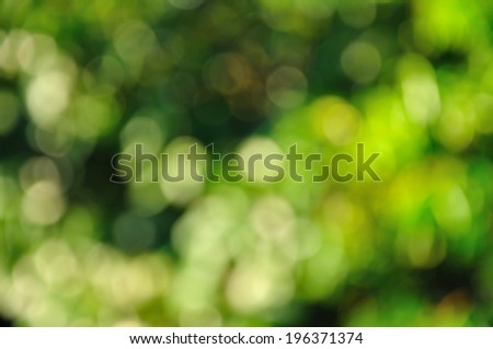 Natural outdoors bokeh background in green and yellow tones