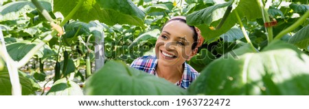 cheerful african american woman near green cucumber plants on blurred foreground, banner