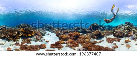 Underwater panorama of the young lady snorkeling over vivid coral reef in tropical sea. Bali Barat National Park, Indonesia