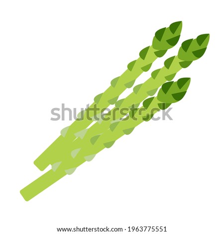 asparagus.Vector illustration that is easy to edit.