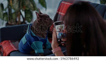 Young woman playing with dog enjoying funny happy moments taking pictures on smartphone camera. Lovely french black bulldog puppy. Home interior.