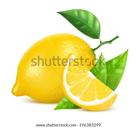 Vector. Fresh lemons with leaves and water drops. Royalty-Free Stock Photo #196383299